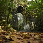 Slieve Bloom Mountain 'getaway' Relax In Nature