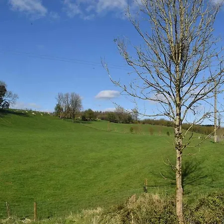 Slieve Bloom Mountain 'getaway' Relax In Nature Holiday home Mountrath