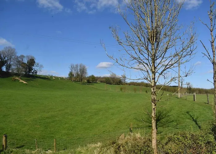 Slieve Bloom Mountain 'getaway' Relax In Nature Holiday home Mountrath