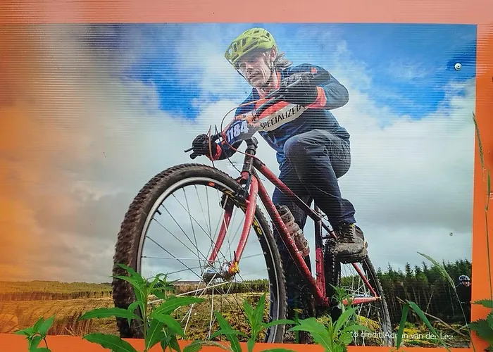 Slieve Bloom Mountain 'getaway' Relax In Nature Holiday home Mountrath