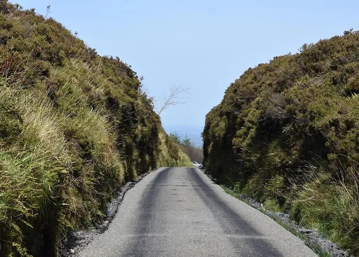 Slieve Bloom Mountain 'getaway' Relax In Nature Holiday home *