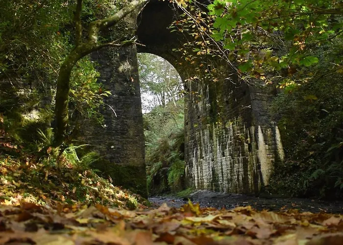 Slieve Bloom Mountain 'getaway' Relax In Nature